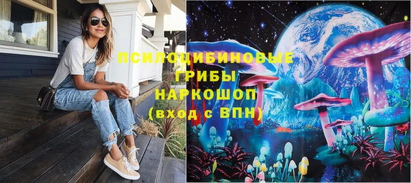 кристаллы Гусь-Хрустальный