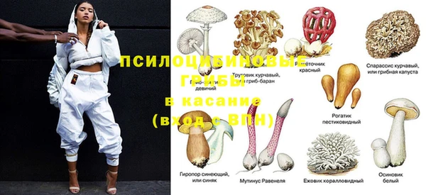 кристаллы Гусь-Хрустальный