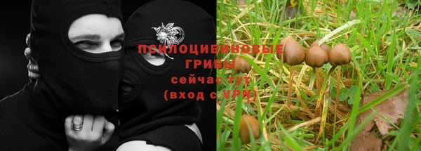 PSILOCYBIN Дмитровск