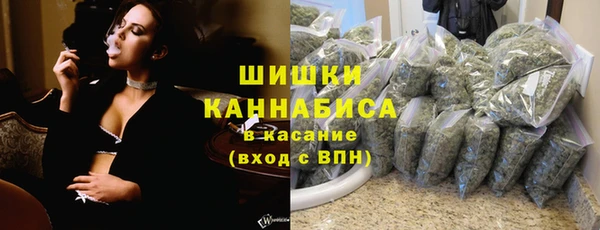 винт Гусев